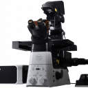 超分辨共聚焦显微镜